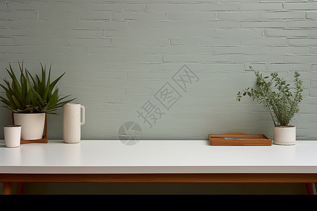 桌子上的盆栽植物背景图片