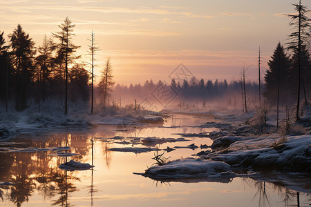 冬季的森林河面图片
