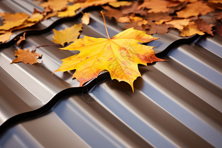 金色秋叶盖满的金属屋顶高清图片