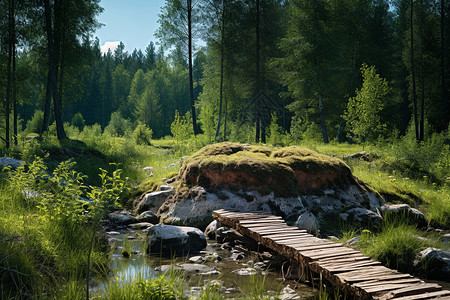 溪流上的木桥图片