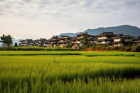 田园乡村图片