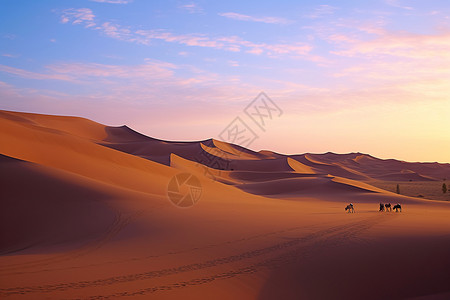 黄昏下的沙漠徒步旅行背景