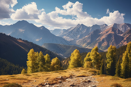 枫叶谷枫叶山径的美丽景观背景