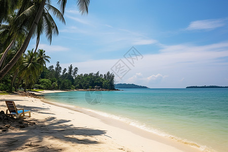 沙滩上面的棕榈树背景图片