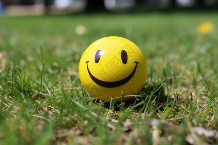 黄色小球草坪上快乐的小球背景