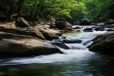 森林里流动的河流图片