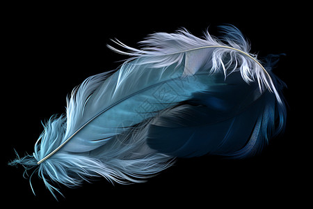 美丽的蓝色羽毛图片