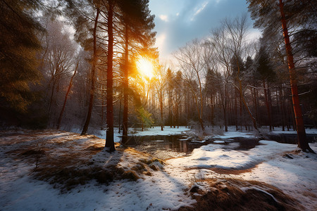 树林中的雪地背景图片