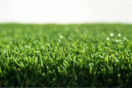 清新草坪背景图片