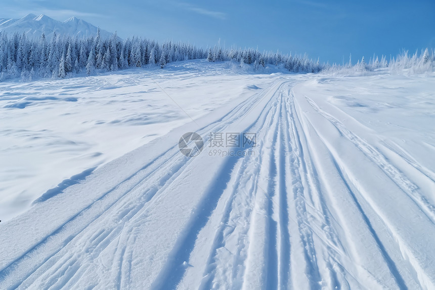 雪地痕迹图片