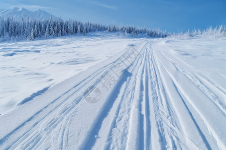 雪地痕迹雪地足迹高清图片