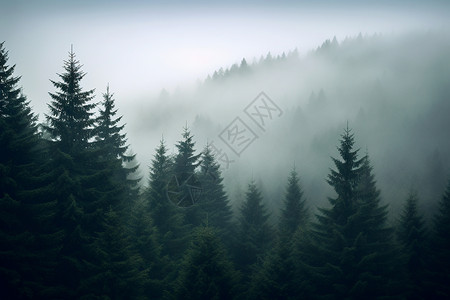 朦胧的山间树林景观背景图片