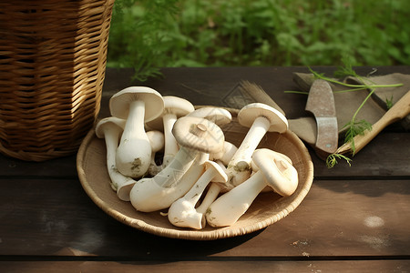 健康蘑菇背景图片