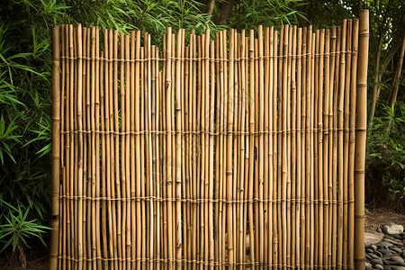 花园里的竹子围栏背景图片