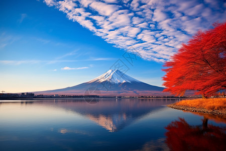 美丽的富士山风景背景图片