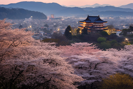 樱花围绕的城市夜景背景图片