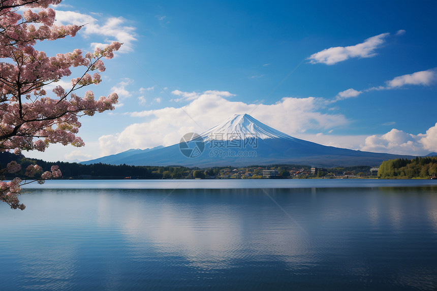 风景中的富士山图片