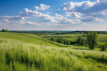 绿色草地上的蓝天白云景观背景图片