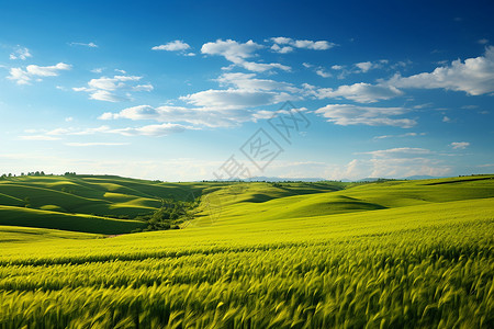 美丽的农村田园背景图片