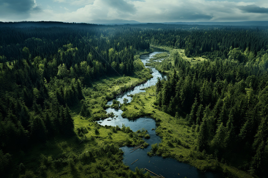 森林的流动之江图片