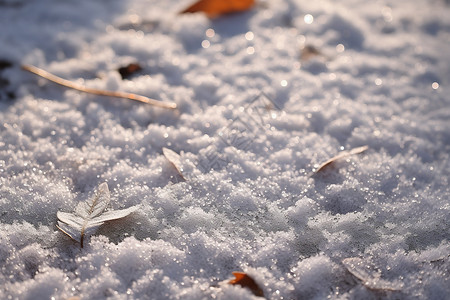 地上的积雪背景图片