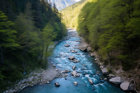 夏季山间清澈的河流背景图片