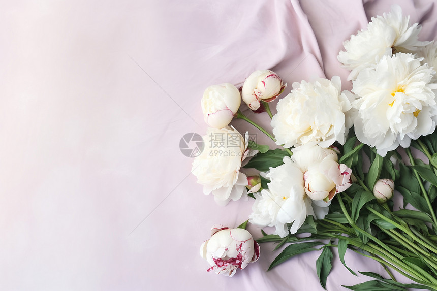 精致美丽的白色牡丹花图片