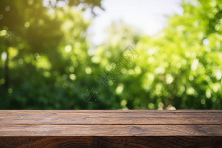 夏季林间的木质桌面背景图片