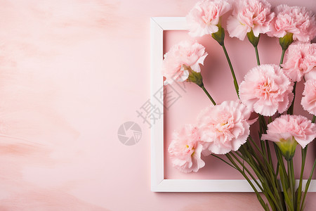 粉色相框清新的粉色康乃馨花束背景