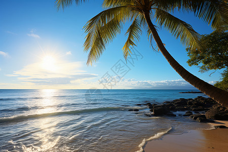 夏季的海洋海滩背景图片