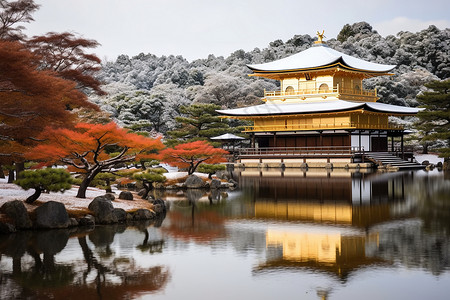 美丽冬季的金阁寺景观背景图片