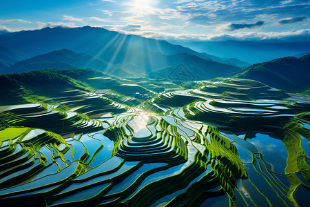 梯田景观山丘上的梯田背景