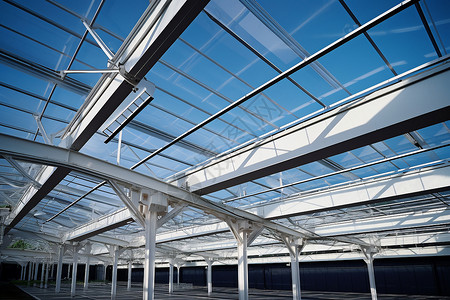现代钢结构玻璃温室背景