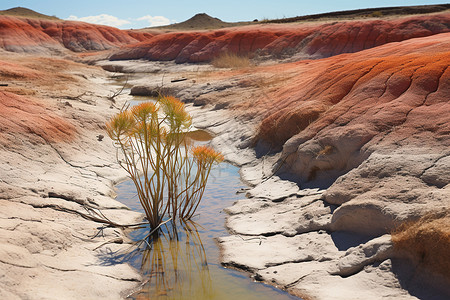 沙漠中的水背景图片