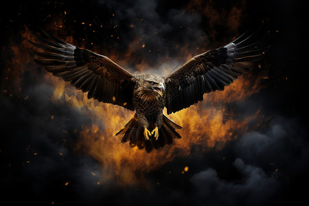 从火焰中飞来的老鹰背景图片
