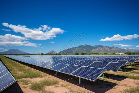 太阳能农场的壮丽背景图片