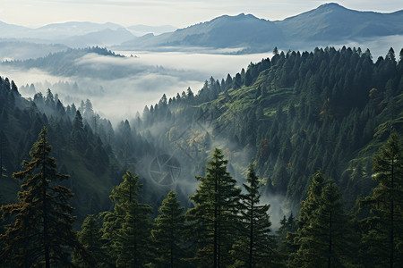 山谷中的迷雾背景图片