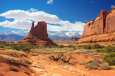迷人的红岩景观背景图片