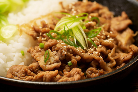 牛肉套餐标签：米饭,套餐,牛肉,食物,美食,葱丝,芝麻背景图片