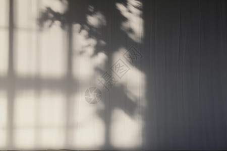 墙壁阳光窗帘后的一张静物背景