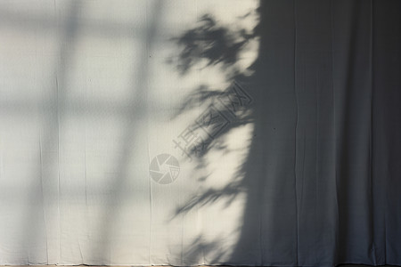 墙上一道植物的影子背景图片
