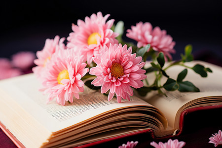 书本与花朵背景图片