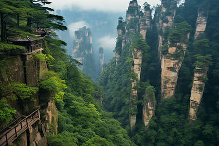 悬崖花奇峰美景背景