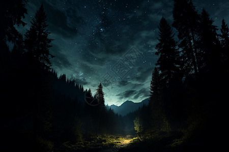 星空下的黑暗森林背景图片