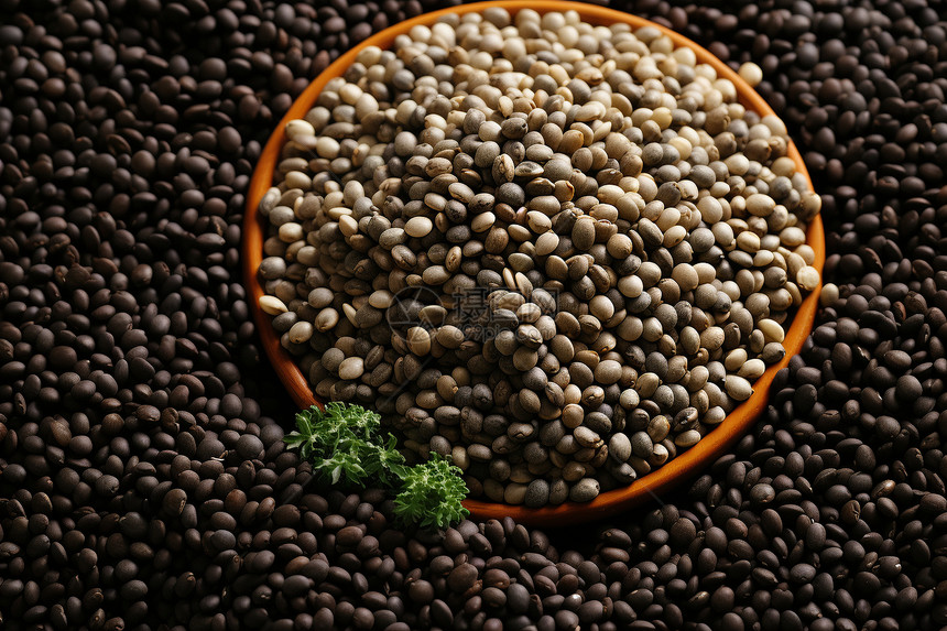 营养丰富的扁豆碗植物图片