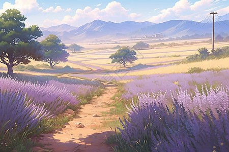 徜徉紫色田野背景图片