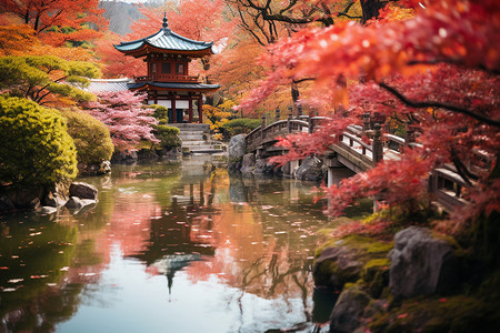 秋日小池塘边的植物背景图片