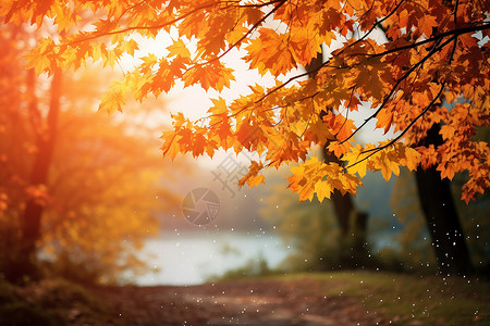 美丽的秋日背景图片