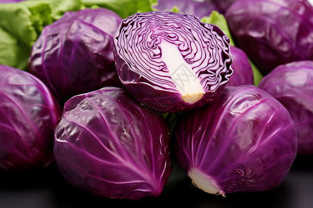 紫甘蓝素材紫色卷心菜背景