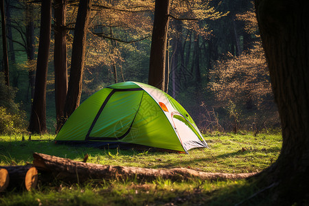 森林中的绿色帐篷背景图片